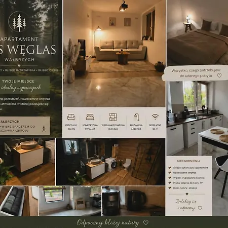 Weglas 公寓 瓦乌布日赫